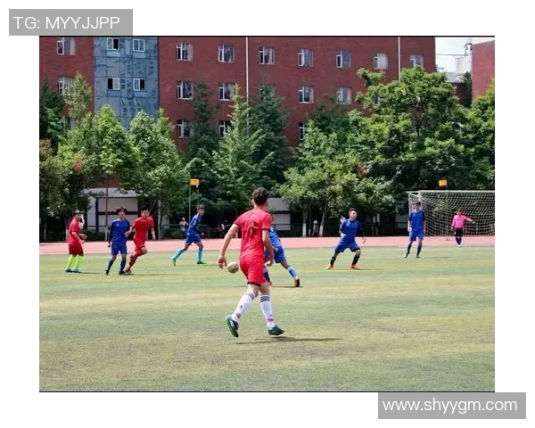 成都篮球队边路渗透战术分析与效果评估探讨