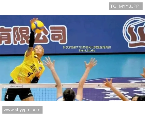 杭州排球队个人能力引发热议球迷对选手表现展开激烈讨论