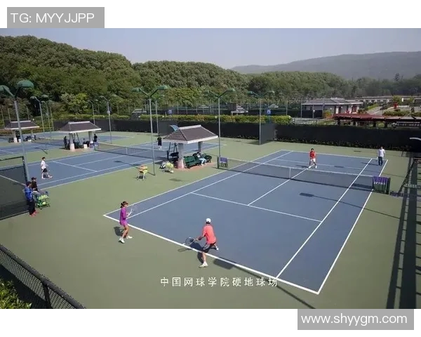 南京网球队与成都网球队赛后分析：比赛节奏与战术对比探讨