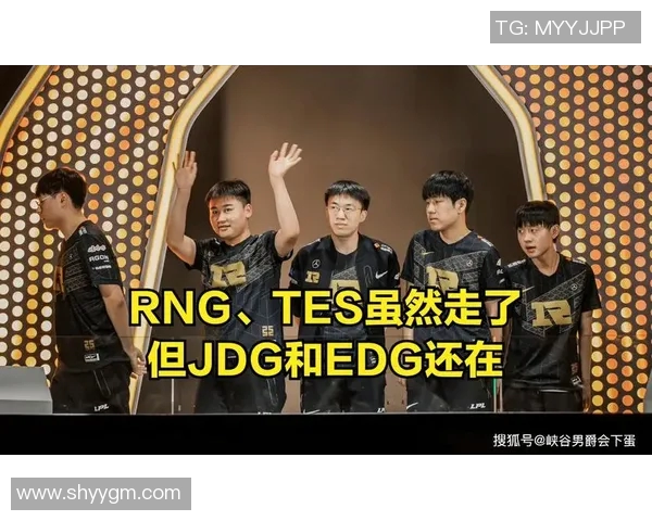数据分析揭示RNG战队在比赛中的技术表现与战术优势