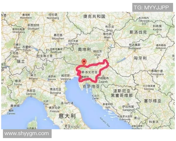 捷克与立陶宛足球对决全面分析及投注建议解析