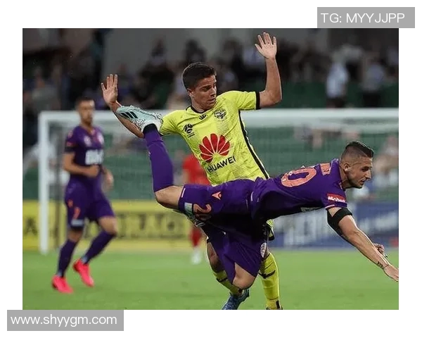 墨尔本与惠灵顿对决精彩回顾及比分分析12月28日赛事情况