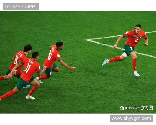 葡萄牙与摩洛哥的体彩对决分析及精彩看点回顾