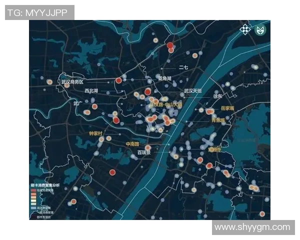 深入探讨北京网球队的力量表现与数据分析的关系及其影响因素