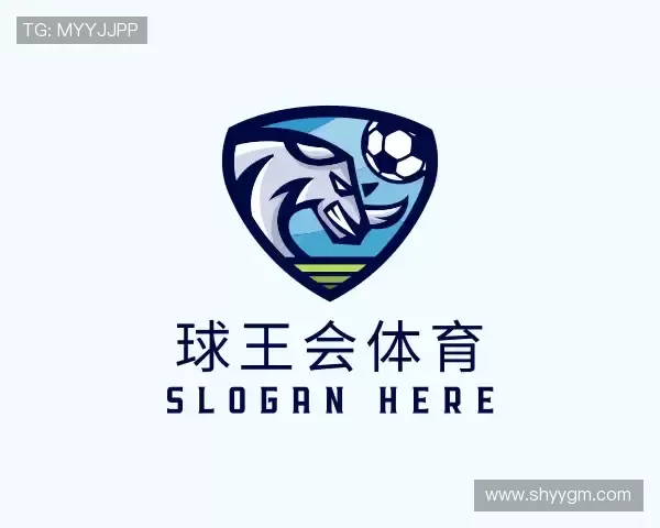 关于球王会体育